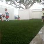 Synthetic Lawn Company Chula Vista, Top Rated Artificial Turf Installation Company