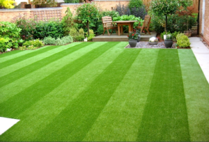Four Ways to Use the Best Artificial Grass in Chula Vista