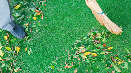 7 Tips To Maintain Indoor Artificial Lawn Chula Vista