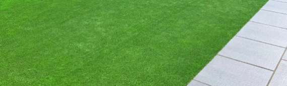 ▷7 Tips To Treat Mold Under Artificial Grass Chula Vista