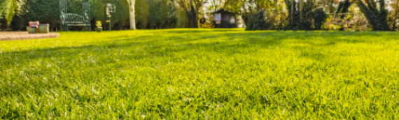 ▷7 Environmental Benefits Of Artificial Turf Chula Vista