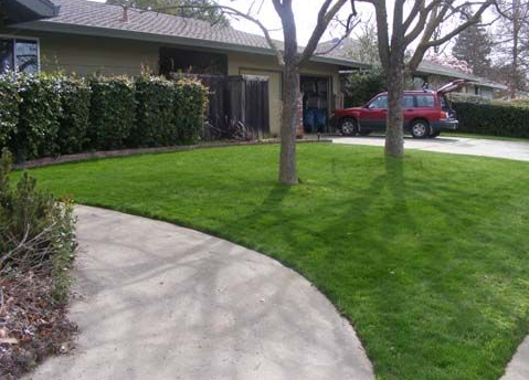 7 Tips To Care For Your Artificial Grass In Winter Season Chula Vista