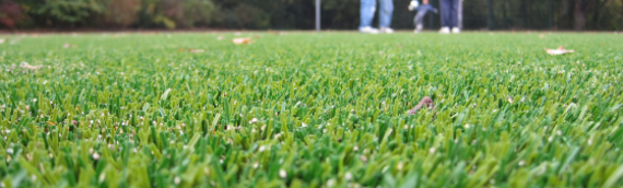 ▷7 Tips To Lift Flattened Artificial Grass In Chula Vista