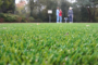 7 Tips To Lift Flattened Artificial Grass In Chula Vista