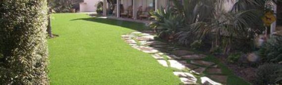 ▷5 Tips To Prevent Moss And Mold From Forming Around Trees With Artificial Grass In Chula Vista