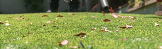 ▷5 Tips To Clean Artificial Grass Around Plants In Chula Vista